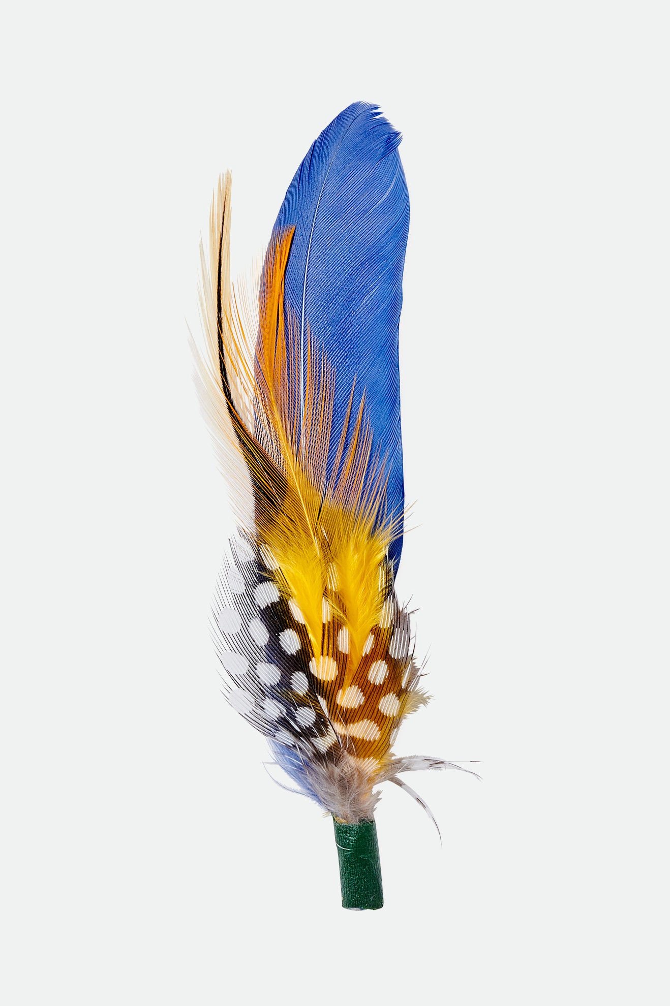 Accessoires Brixton Keith Hat Feather Unisex Multicolore | 03MAUEWKX